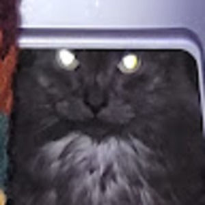 Meet your Posher, Kylie